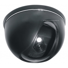 600TVL 1/3 SHARP CCD 3.6mm Indoor Day/Night CCTV Dome Camera with BLC and AES 